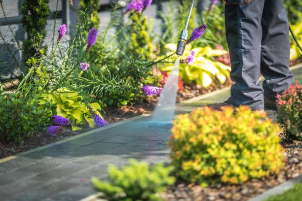 Best Pool Deck Cleaning  in Avodo Heights, CA