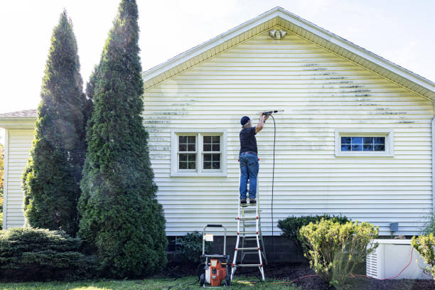Best Gutter Cleaning  in Avodo Heights, CA